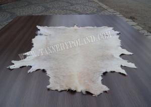Sheepskins - African leather - 0045